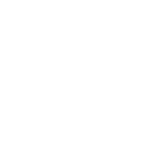 citroen (1)