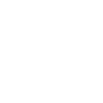 toyota (1)